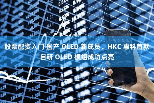 股票配资入门 国产 OLED 新成员，HKC 惠科首款自研 OLED 模组成功点亮